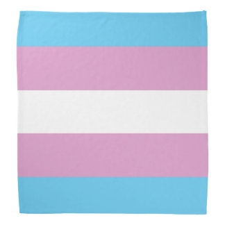 in shemale stocking vids from Aidan gay bandana
