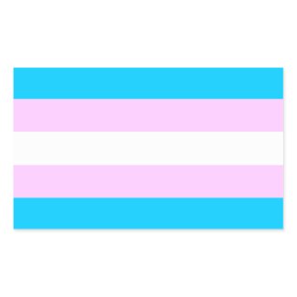 Trans pride flag stickers
