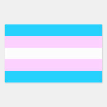 Trans pride flag stickers