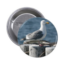 Transbordador Greeter Pin