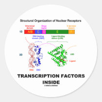 Transcription Factors Inside (Nuclear Receptors) Round Stickers