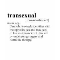 TRANSEXUAL (definition) t-shirts