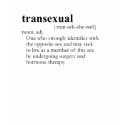 TRANSEXUAL T-SHIRT / Gay Slang T-shirt
