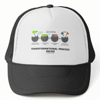 Transformational Process Inside (Enzyme Substrate) hat