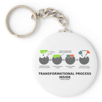 Transformational Process Inside (Enzyme Substrate) Keychains