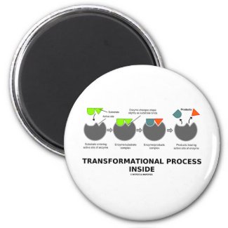 Transformational Process Inside (Enzyme Substrate) Refrigerator Magnet