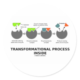 Transformational Process Inside (Enzyme Substrate) sticker