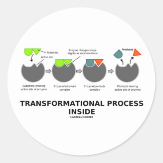 Transformational Process Inside (Enzyme Substrate) Sticker