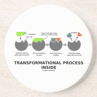 Transformational Process Inside Induced-Fit Model Coasters