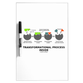Transformational Process Inside Induced-Fit Model Dry-Erase Whiteboards