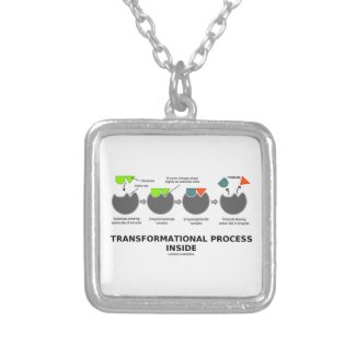 Transformational Process Inside Induced-Fit Model Jewelry