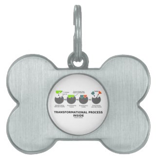 Transformational Process Inside Induced-Fit Model Pet Name Tags