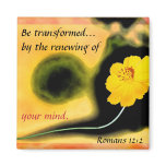 "Transformed" magnet