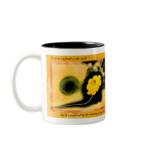 Transformed mugs