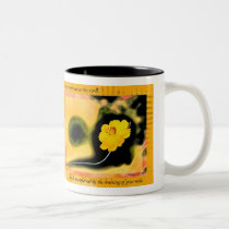 Transformed mugs