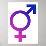 Transgender Hermaphrodite Gender Pride Symbol posters