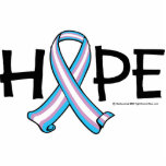 Transgender HOPE 2 Acrylic Cut Out