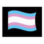 Transgender Pride Banner Post Card
