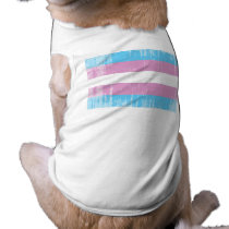 Transgender Pride Flag distressed.png pet clothing