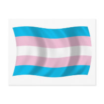 Transgender Pride Flag Postcard