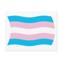 Transgender Pride Flag Postcard