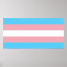 Transgender Pride Flag Print