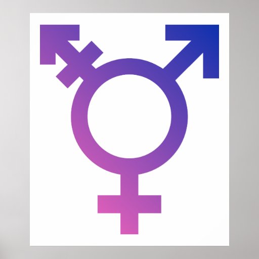 Transgender Symbol Logo Poster Zazzle 