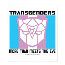 Transgenders More Than Meets The Eye posters