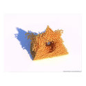 transient order 1 posters by chris_h transient order 1 posters