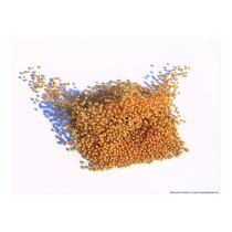 transient order 2 posters by chris_h transient order 2 posters
