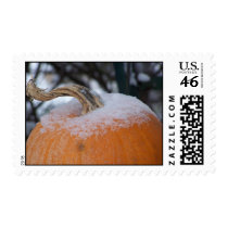 Transitions postage