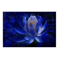 Translucence print