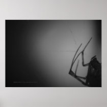 TRANSLUCENT 8 POSTERS
