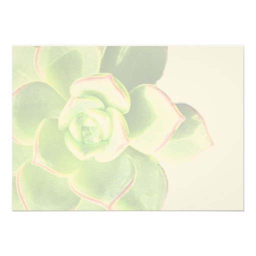 Translucent Green Succulent Wedding Invitation