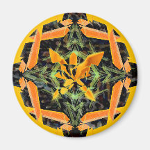 "Transmutation" Nerd Toys Magnet CricketDiane
