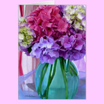 Transparencies cards