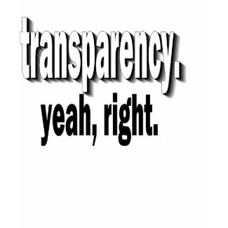 transparency t-shirt shirt