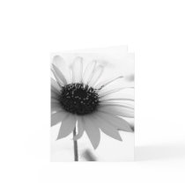 Transparent BW Flower Note Card