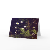 TRANSPLANTED. cards by mhartford TRANSPLANTED. cards