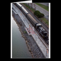Transportation cards