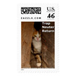 Trap Neuter Return Stamps