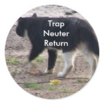 trap nueter return, sticker