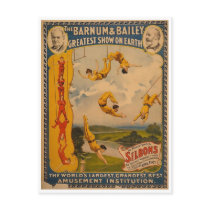 Trapeze artists Barnum & Bailey 1896 Post Cards