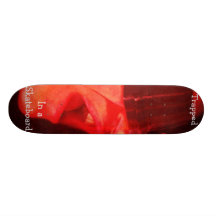 Trapped In a Skateboard