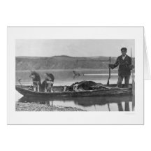 Trapper with Hides & Dogs Alaska 1906 Card