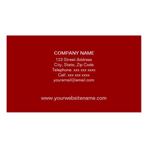Travel Agent / Tour Guide Business Card Template (back side)