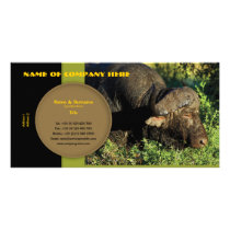 Travel agents, game lodges, hunting farms, safari personalized photo card