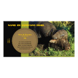 Travel agents, game lodges, hunting farms, safari personalized photo card