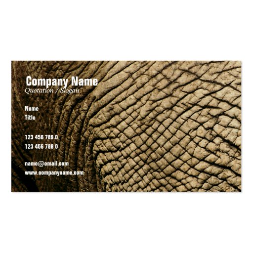 Travel agents, Safari tours, taxidermists, vets Business Card Template (front side)