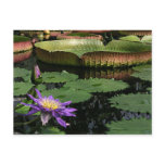 sony cybershot | travel, collecting, postcard travel, collecting, postcard